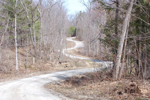 The cottage road