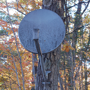 The dish