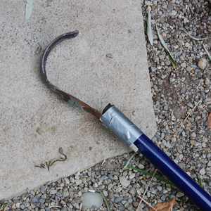 The snake stick  