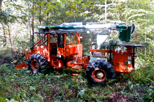 The Bush Buggy