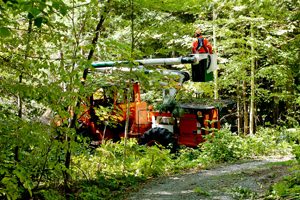The Bush Buggy